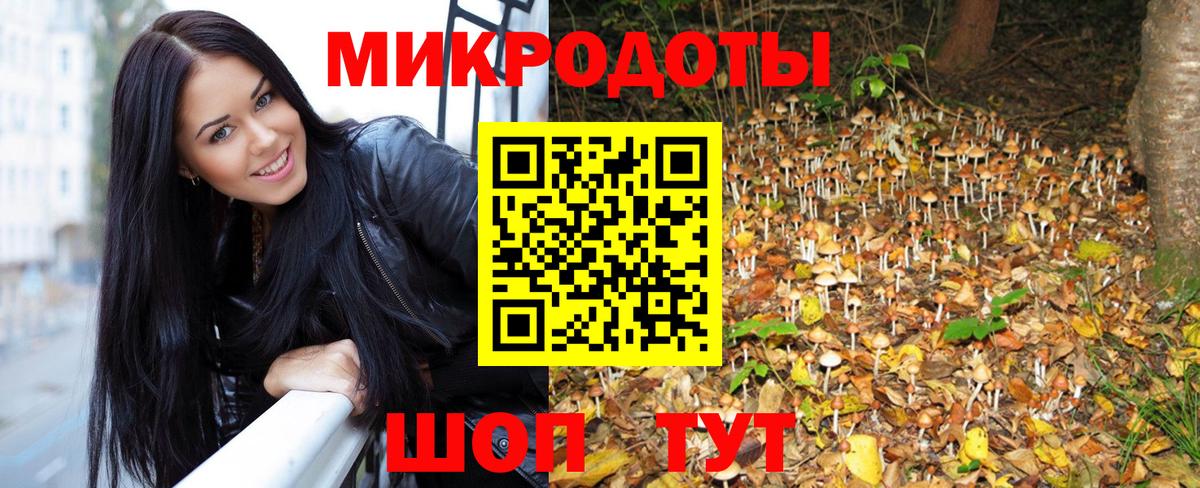 Грозный  Псилоцибиновые грибы прущие грибы  как найти закладки  Вход с VPN 
